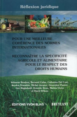 Capa do artigo Reflexion Juridique : Pour Une Meilleure Coherence Des Normes Int