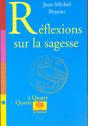Reflexions Sur La Sagesse - Preview