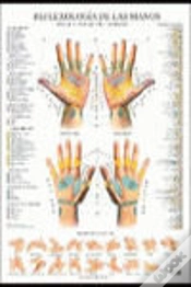 Capa do artigo Reflexologia De Las Manos Poster