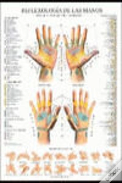 Capa do artigo Reflexologia De Las Manos Poster