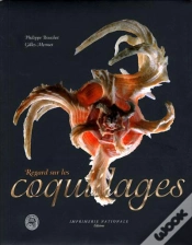 Capa do artigo Regard Sur Les Coquillages