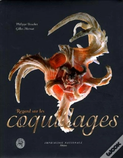 Capa do artigo Regard Sur Les Coquillages