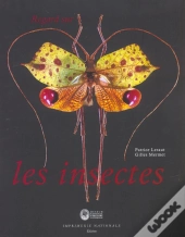 Regard Sur Les Insectes