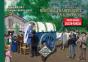 Regards Sur Le Mariage Traditionnel En Gascogne - Preview