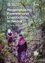 Regenerating Forests And Livelihoods In Nepal - Preview
