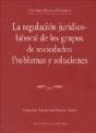 Regulacion Juridico Laboral,La - Preview
