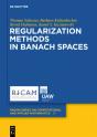 Regularization Methods In Banach Spaces - Preview