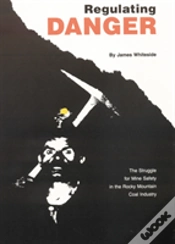 Capa do artigo Regulating Danger