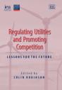 Regulating Utilities And Promoting Competition - Preview