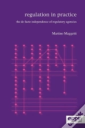 Regulation In Practice