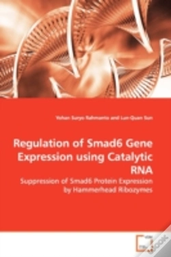 Capa do artigo Regulation Of Smad6 Gene Expression Using Catalytic Rna