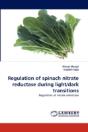 Regulation Of Spinach Nitrate Reductase During Light/Dark Transitions - Preview