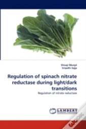Regulation Of Spinach Nitrate Reductase During Light/Dark Transitions