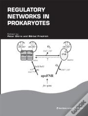 Regulatory Networks In Prokaryotes