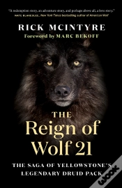Capa do artigo Reign Of Wolf 21