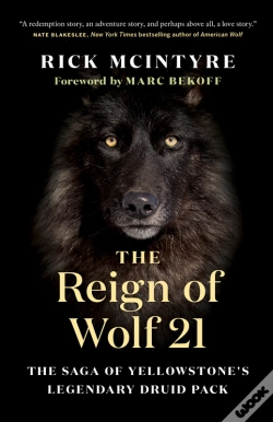 Capa do artigo Reign Of Wolf 21