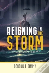 Reigning In The Storm