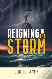 Capa do artigo Reigning In The Storm