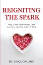 Reigniting The Spark - Preview