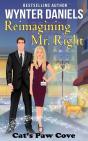 Reimagining Mr. Right - Preview