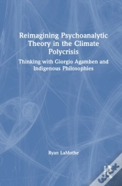 Capa do artigo Reimagining Psychoanalytic Theory In The Climate Polycrisis