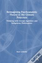 Reimagining Psychoanalytic Theory In The Climate Polycrisis