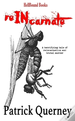 Capa do artigo Reincarnate