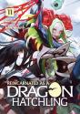 Reincarnated As A Dragon Hatchling (Light Novel) Vol. 11 - Preview