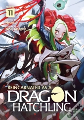 Reincarnated As A Dragon Hatchling (Light Novel) Vol. 11