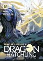 Reincarnated As A Dragon Hatchling (Light Novel) Vol. 12 - Preview