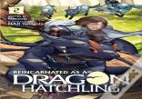 Reincarnated As A Dragon Hatchling (Light Novel) Vol. 2