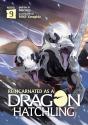 Reincarnated As A Dragon Hatchling (Light Novel) Vol. 9 - Preview