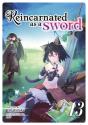 Reincarnated As A Sword (Light Novel) Vol. 13 - Preview