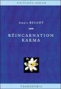 Reincarnation Karma - Preview