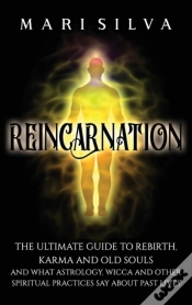 Capa do artigo Reincarnation