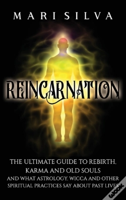 Capa do artigo Reincarnation