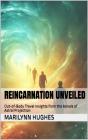 Reincarnation Unveiled - Preview