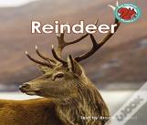 Reindeer