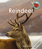 Capa do artigo Reindeer