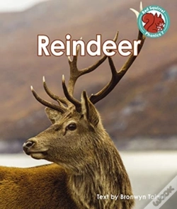 Capa do artigo Reindeer