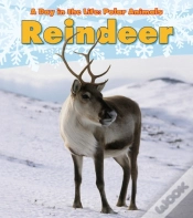 Capa do artigo Reindeer