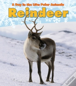 Capa do artigo Reindeer