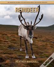 Reindeer