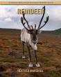 Reindeer - Preview