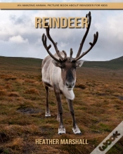 Capa do artigo Reindeer