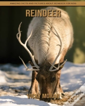 Capa do artigo Reindeer