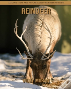 Capa do artigo Reindeer