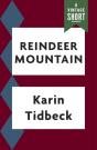 Reindeer Mountain - Preview