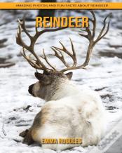 Reindeer