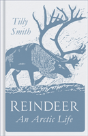 Reindeer - Preview